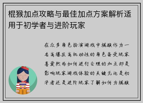 棍猴加点攻略与最佳加点方案解析适用于初学者与进阶玩家